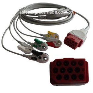 Leadionlar ile Uyumlu Bionet BM3 BM5 Tek Parça EKG Kablosu, AHA, 5-Lead, Snap, Kırmızı 12pin